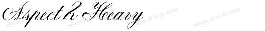 Aspect 2 Heavy字体转换